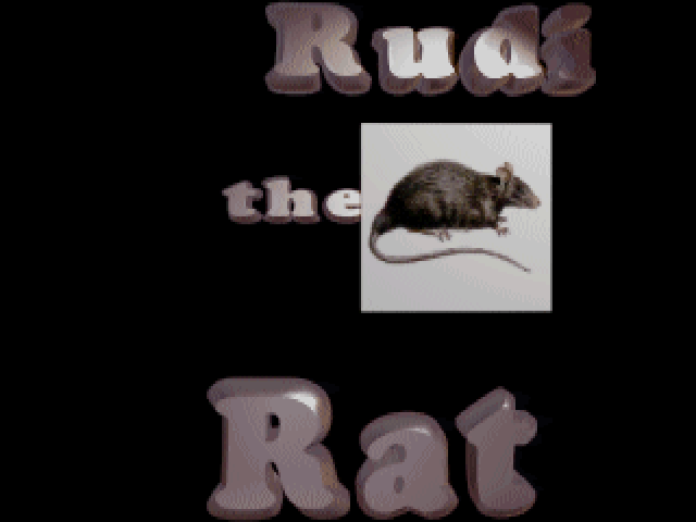 Rudi the Rat