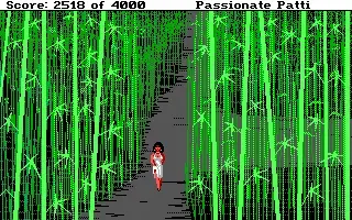 Leisure Suit Larry III: Passionate Patti in Pursuit of the Pulsating Pectorals screenshot 36