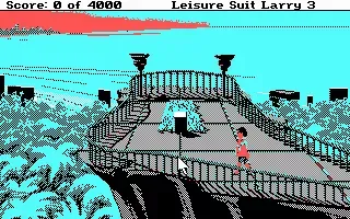 Leisure Suit Larry III: Passionate Patti in Pursuit of the Pulsating Pectorals screenshot 30