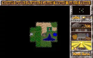 Master of Magic screenshot 21