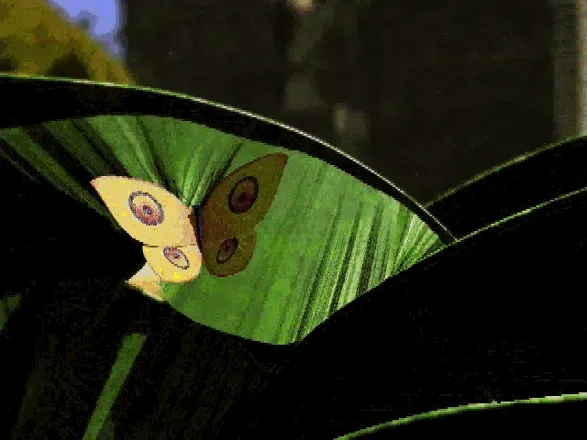 Creatures screenshot 3