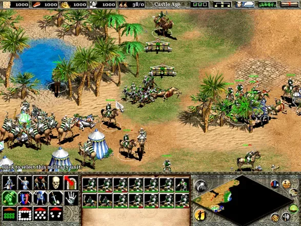 Age of Empires II: The Age of Kings screenshot 3