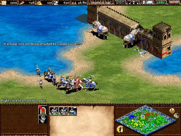 Age of Empires II: The Age of Kings screenshot 13