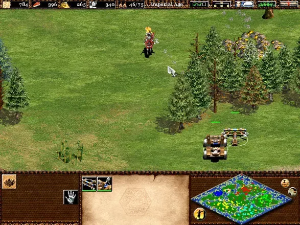 Age of Empires II: The Age of Kings screenshot 16