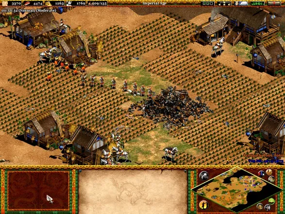 Age of Empires II: The Age of Kings screenshot 26