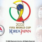 2002 FIFA World Cup
