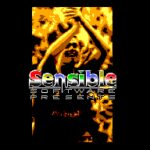 Sensible Soccer: European Champions