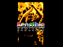 Sensible Soccer: European Champions