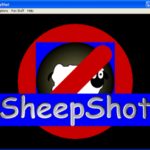 SheepShot
