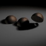 Shell Game