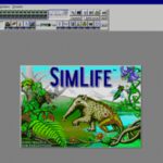 SimLife