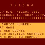 Skiing