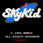 Sky Kid