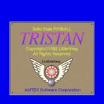 Solid State Pinball: Tristan