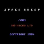 Space Sweep & Invaders