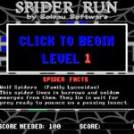 Spider Run