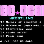 Tag Team Wrestling