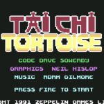 Tai Chi Tortoise