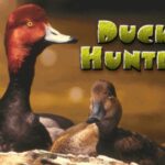 The Browning Duck Hunter
