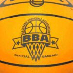 Backyard Basketball