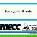 Backyard Birds