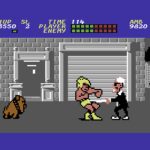 Bad Street Brawler