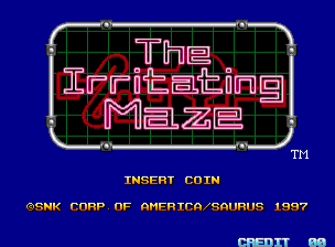 The Irritating Maze