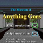 The Museum of Anything Goes