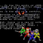 The Ninja Kids