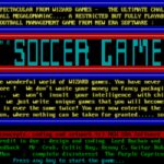 The Soccer Game