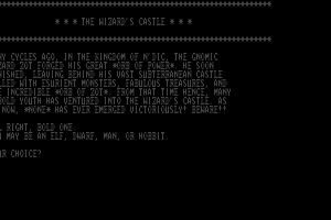 The Wizard’s Castle