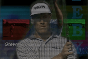 Tiger Woods PGA Tour 2001