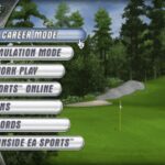 Tiger Woods PGA Tour 2004