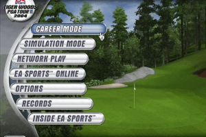Tiger Woods PGA Tour 2004