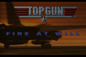 Top Gun: Fire at Will!