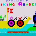 Viking Raiders