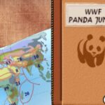 WWF Panda Junior