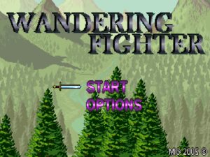 Wandering Fighter