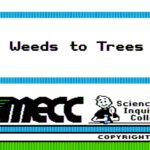 Weeds to Trees