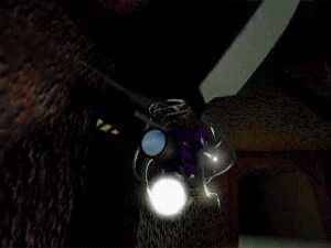 Weird: Truth is Stranger than Fiction