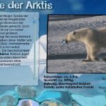 Welt der Wunder 2