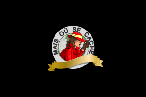 Where in the World is Carmen Sandiego? (CD-ROM)