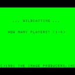 Wildcatting