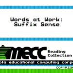 Words at Work: Suffix Sense