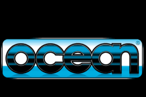 Worms: The Director's Cut