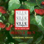 Beetle Run