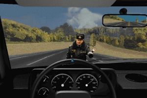 Берегись автомобиля!