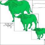 Bert’s African Animals