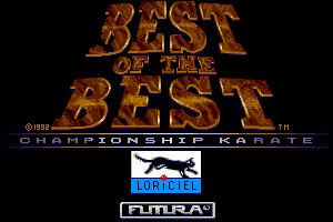 Best of the Best Championship Karate