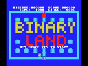 Binary Land